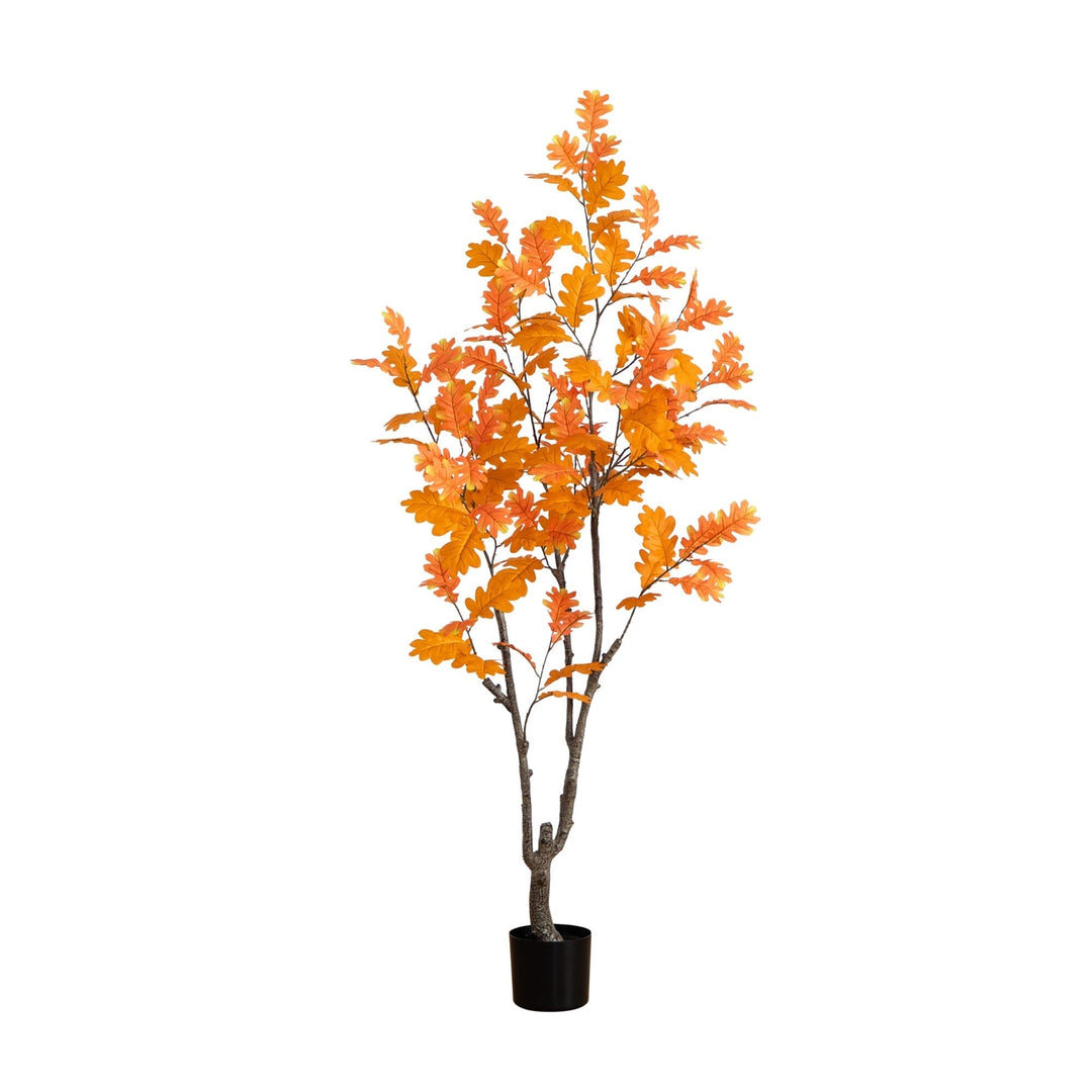 Trees