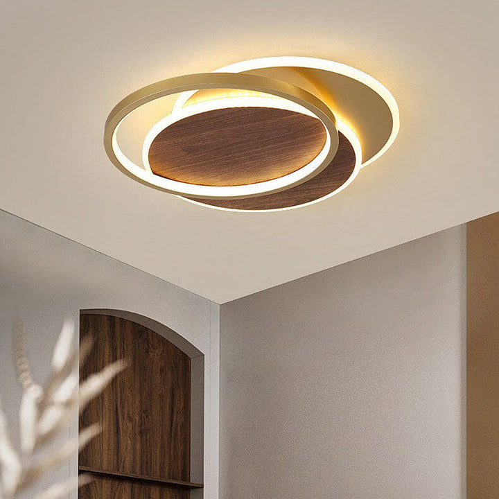 Modern Nordic  Wrought Iron Round Circular LED Flush Mount Lighting for Living Room