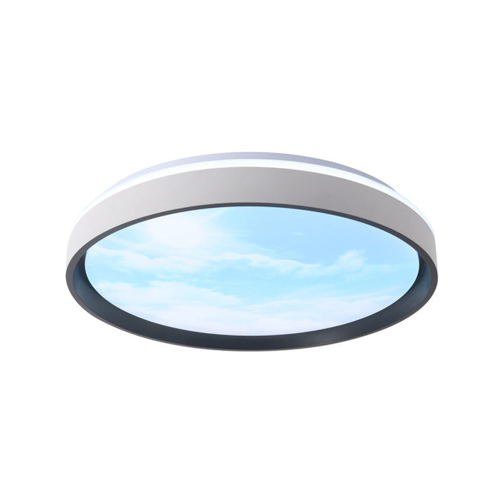 Modern Simplicity Iron Acrylic Round Square Rectangular Sunny Sky LED Flush Mount Ceiling Light For Living Room