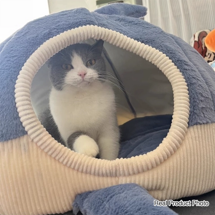 Contemporary Creative Little Shark Rabbit Fur PP Cotton Cat Bed Dog Bed For Bedroom
