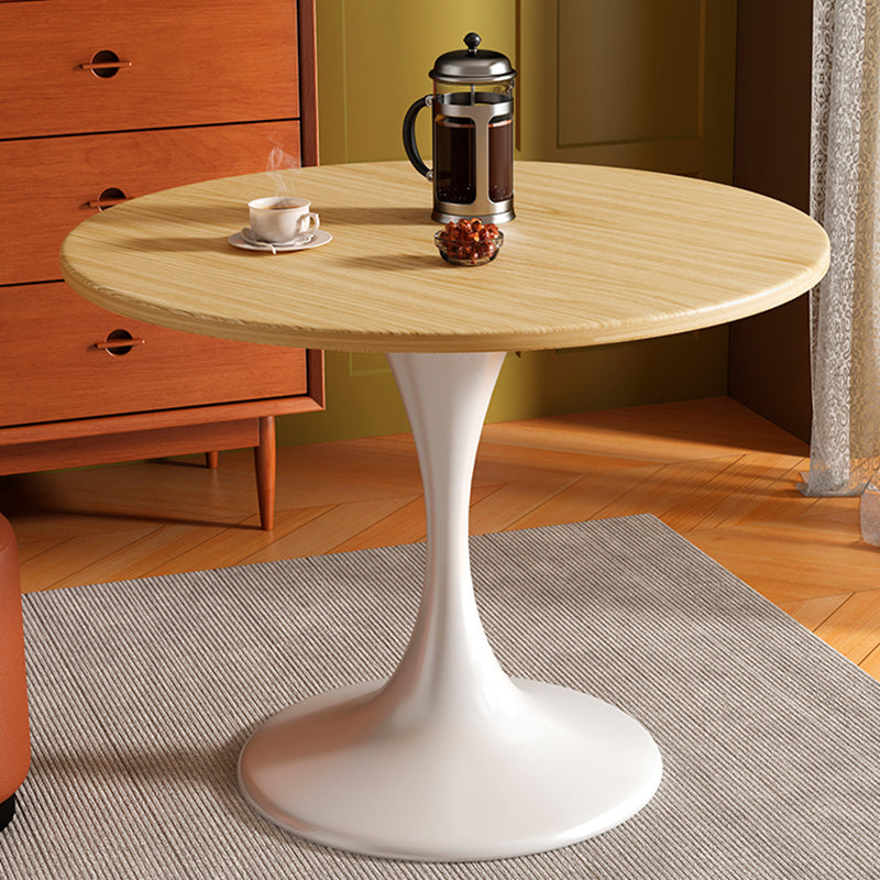Modern Minimalist Tulip-Shaped Round MDF Carbon Steel Coffee Table Dining Table for Small Space For Living Room