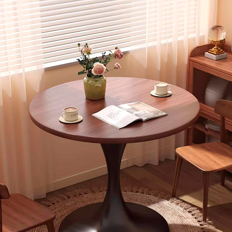 Modern Minimalist Tulip-Shaped Round MDF Carbon Steel Coffee Table Dining Table for Small Space For Living Room