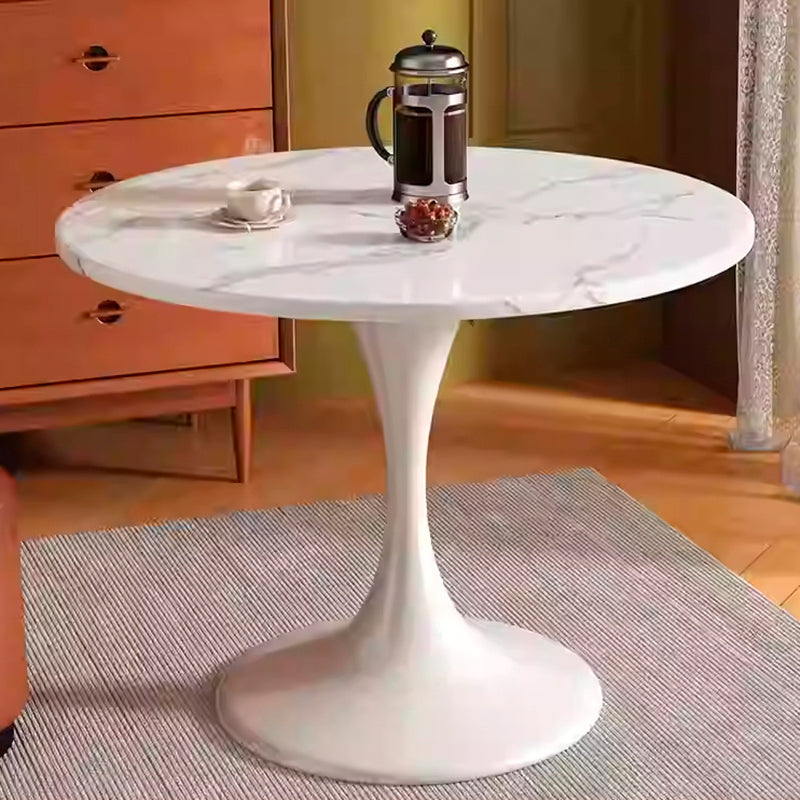 Modern Minimalist Tulip-Shaped Round MDF Carbon Steel Coffee Table Dining Table for Small Space For Living Room