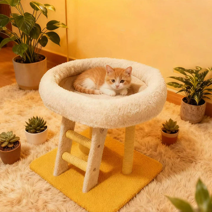 Modern Minimalist MDF Velvet Sisal Rectangular Cat Tree &amp; Condos 1-Condo 1-Ladder 2-Scratching Post For Living Room