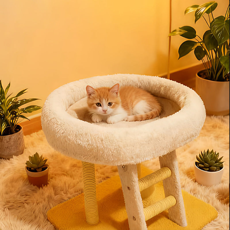 Modern Minimalist MDF Velvet Sisal Rectangular Cat Tree &amp; Condos 1-Condo 1-Ladder 2-Scratching Post For Living Room