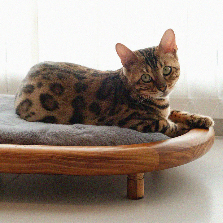 Modern Minimalist Oval Solid Wood Velvet Cat Claw Leather Pet Dog Bed &amp; Cat Bed For Bedroom