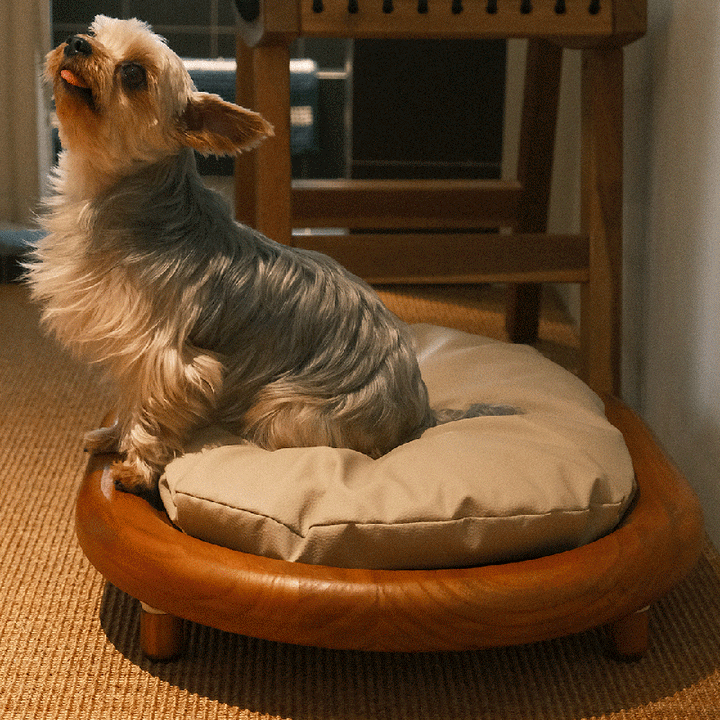 Modern Minimalist Oval Solid Wood Velvet Cat Claw Leather Pet Dog Bed &amp; Cat Bed For Bedroom