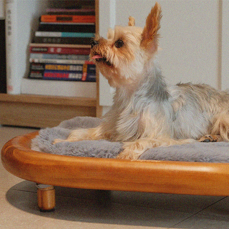 Modern Minimalist Oval Solid Wood Velvet Cat Claw Leather Pet Dog Bed &amp; Cat Bed For Bedroom