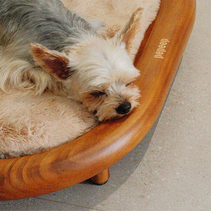 Modern Minimalist Oval Solid Wood Velvet Cat Claw Leather Pet Dog Bed &amp; Cat Bed For Bedroom