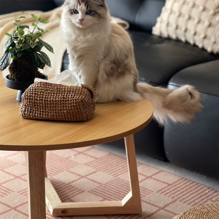 Contemporary Scandinavian Round Medium-Density Fiberboard Pine Solid Wood Coffee Table For Living Room