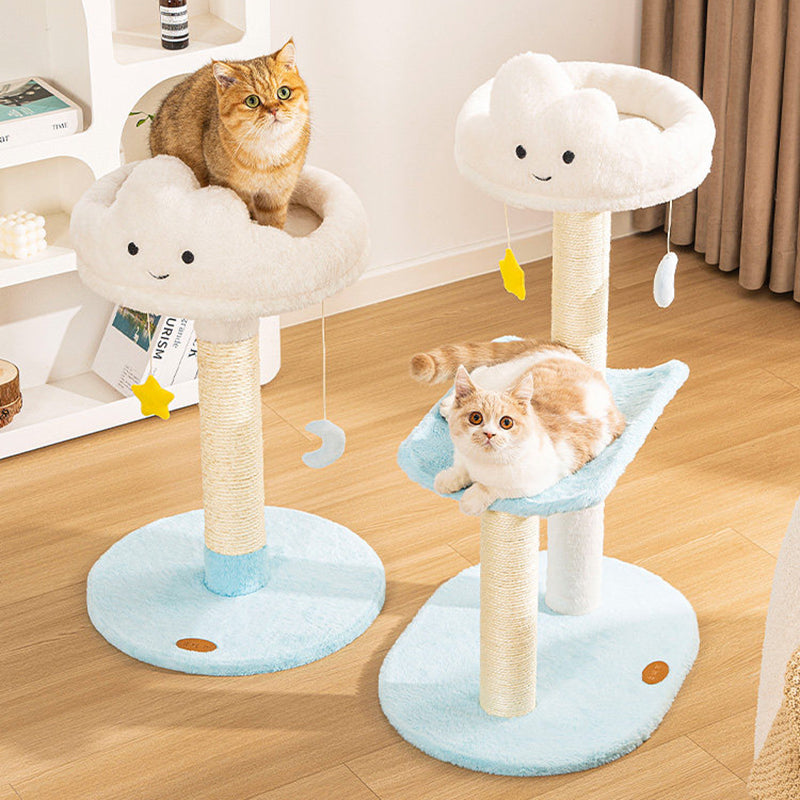Cat Beds