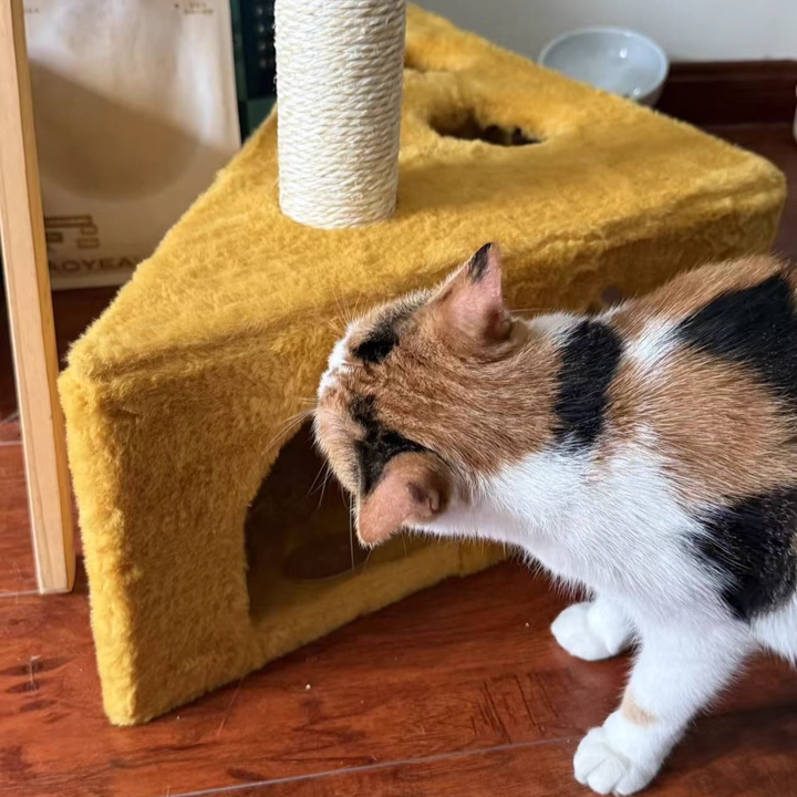 Contemporary Creative Triangle Particleboard Velvet Fabric Sisal Cheese Cat Tree Cat Bed For Bedroom