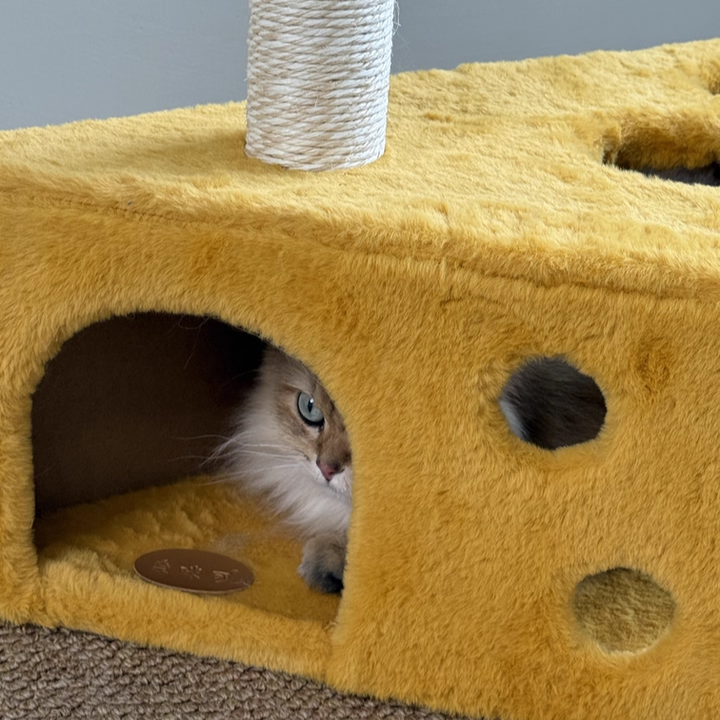 Contemporary Creative Triangle Particleboard Velvet Fabric Sisal Cheese Cat Tree Cat Bed For Bedroom