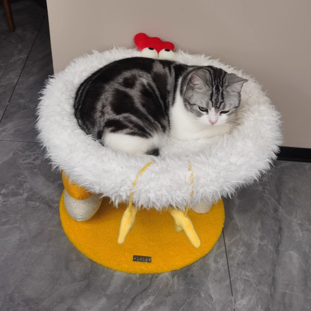 Contemporary Creative Round Particleboard Velvet Fabric Hemp Rope Cat Tree 2-Tier For Living Room