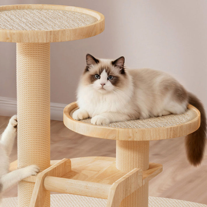 Contemporary Scandinavian Round Rubberwood Solid Wood Sisal No-Assembly Cat Tree For Living Room