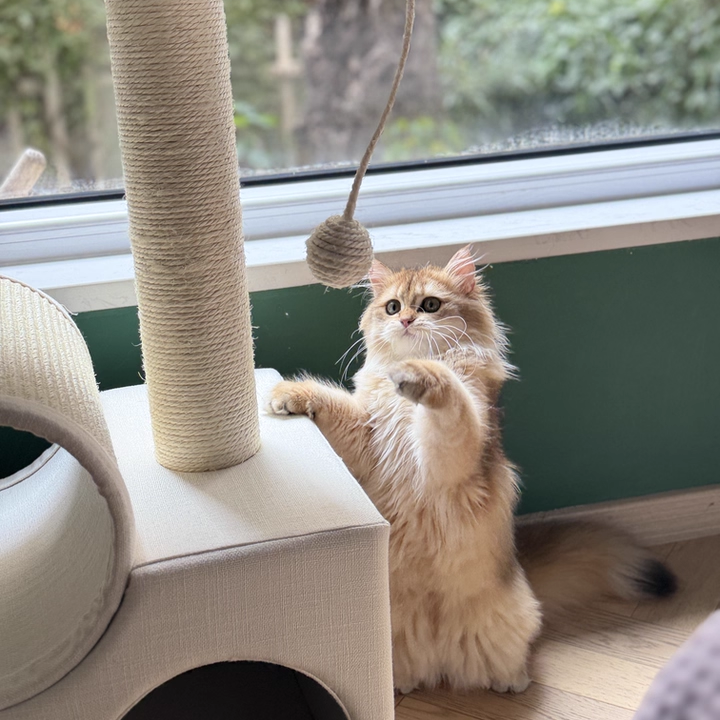Contemporary Scandinavian Round Particleboard Velvet Fabric Sisal Paper Tube Cat Tree 3-Tier For Living Room