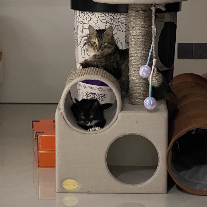 Contemporary Scandinavian Round Particleboard Velvet Fabric Sisal Paper Tube Cat Tree 3-Tier For Living Room