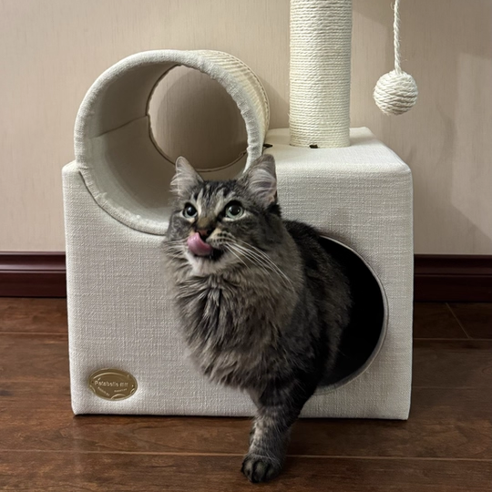 Contemporary Scandinavian Round Particleboard Velvet Fabric Sisal Paper Tube Cat Tree 3-Tier For Living Room