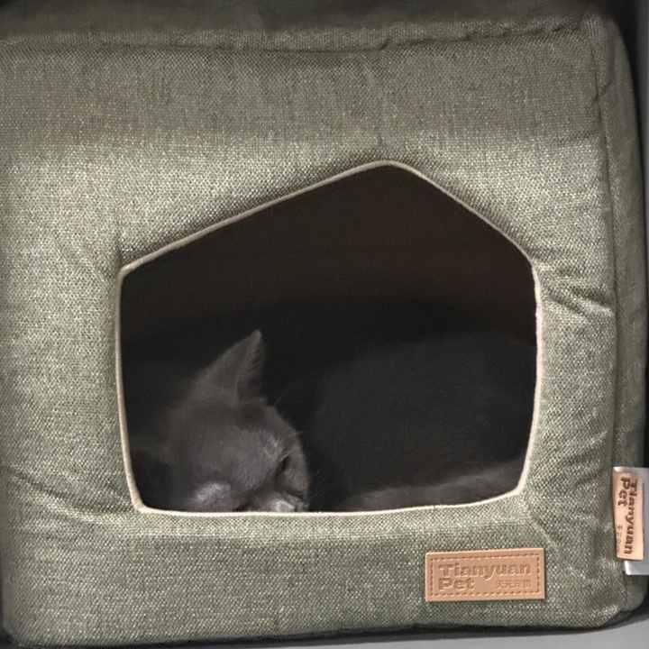 Contemporary Scandinavian Square Linen Fabric Sponge Cat Bed For Living Room