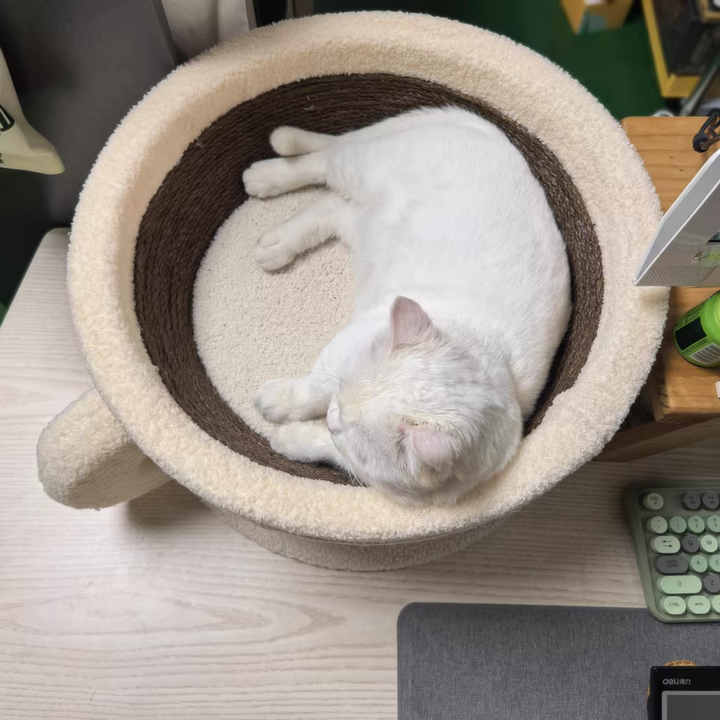 Contemporary Creative Round Medium-Density Fiberboard Velvet Fabric Sisal Coffee Cup Cat Bed For Bedroom