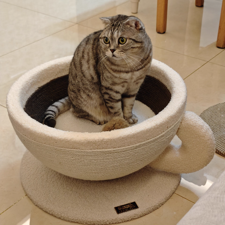 Contemporary Creative Round Medium-Density Fiberboard Velvet Fabric Sisal Coffee Cup Cat Bed For Bedroom