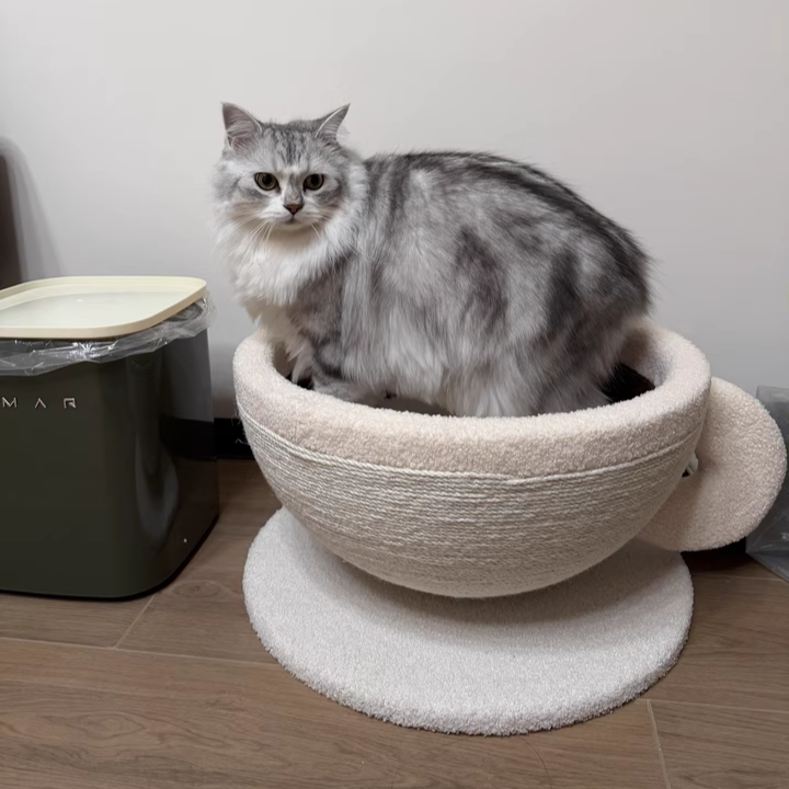 Contemporary Creative Round Medium-Density Fiberboard Velvet Fabric Sisal Coffee Cup Cat Bed For Bedroom