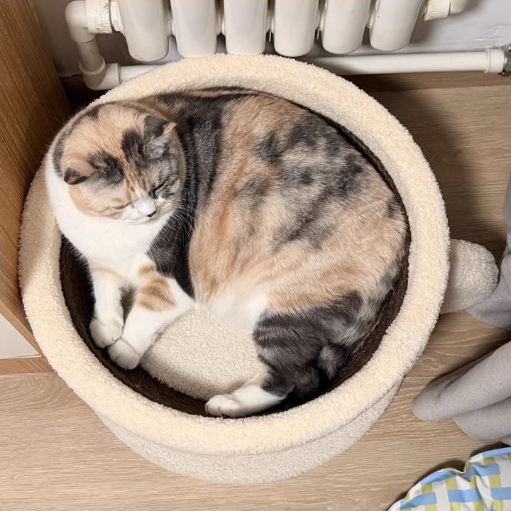 Contemporary Creative Round Medium-Density Fiberboard Velvet Fabric Sisal Coffee Cup Cat Bed For Bedroom