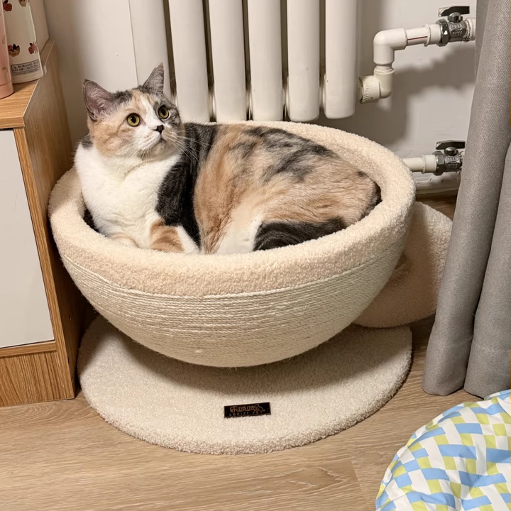 Contemporary Creative Round Medium-Density Fiberboard Velvet Fabric Sisal Coffee Cup Cat Bed For Bedroom