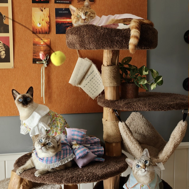 Contemporary Creative Round Particleboard Solid Wood Pillar Velvet Fabric Hemp Rope Cat Tree 6/7-Tier For Living Room