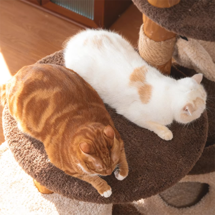 Contemporary Creative Round Particleboard Solid Wood Pillar Velvet Fabric Hemp Rope Cat Tree 6/7-Tier For Living Room