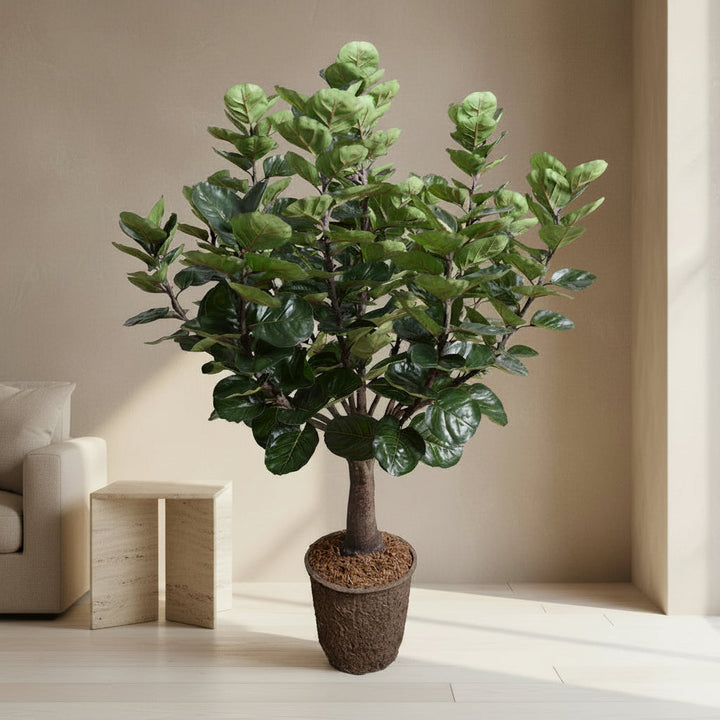 Aralia Balfouriana Tree - Realistic Faux