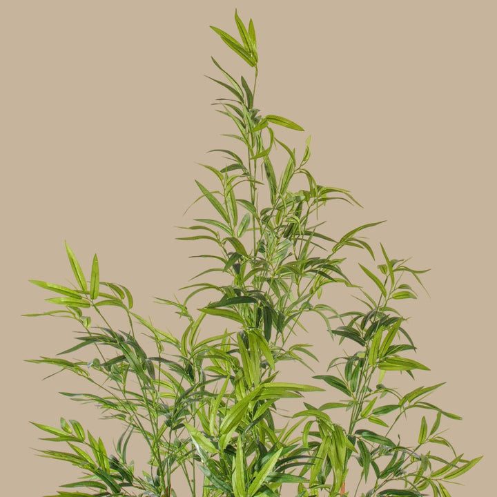 Natural Bamboo Tree - Realistic Faux