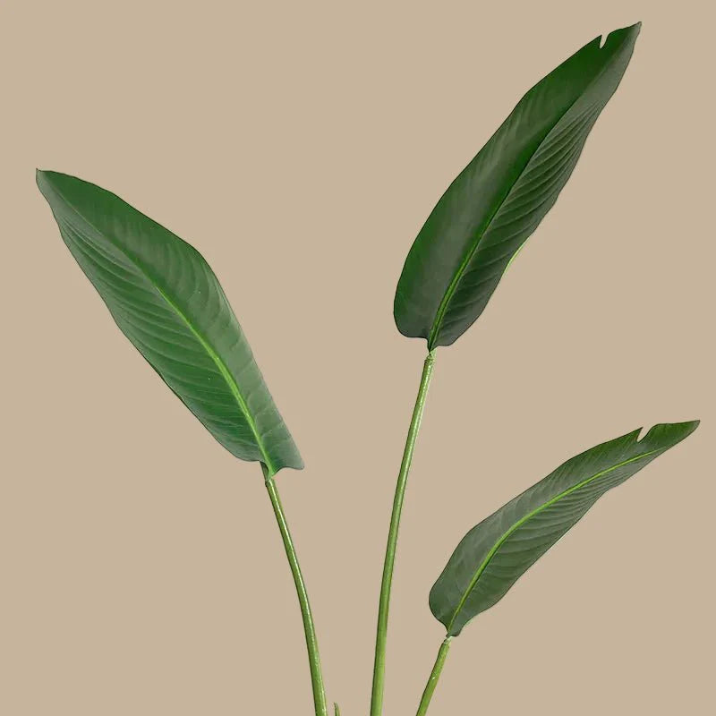 Bird of Paradise - Realistic Faux