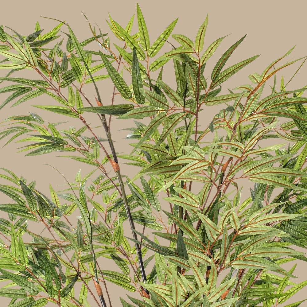 Black Japanese Bamboo - Realistic Faux