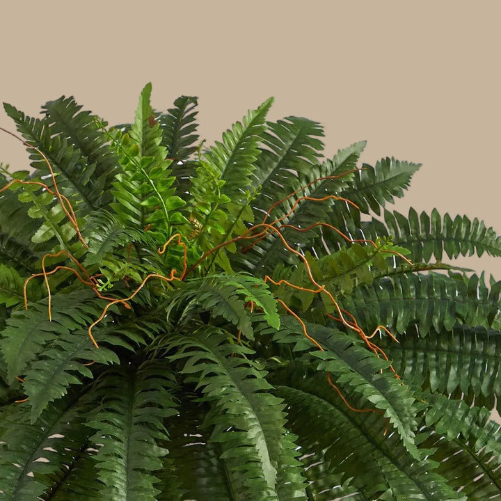 Full Boston Fern - Realistic Faux