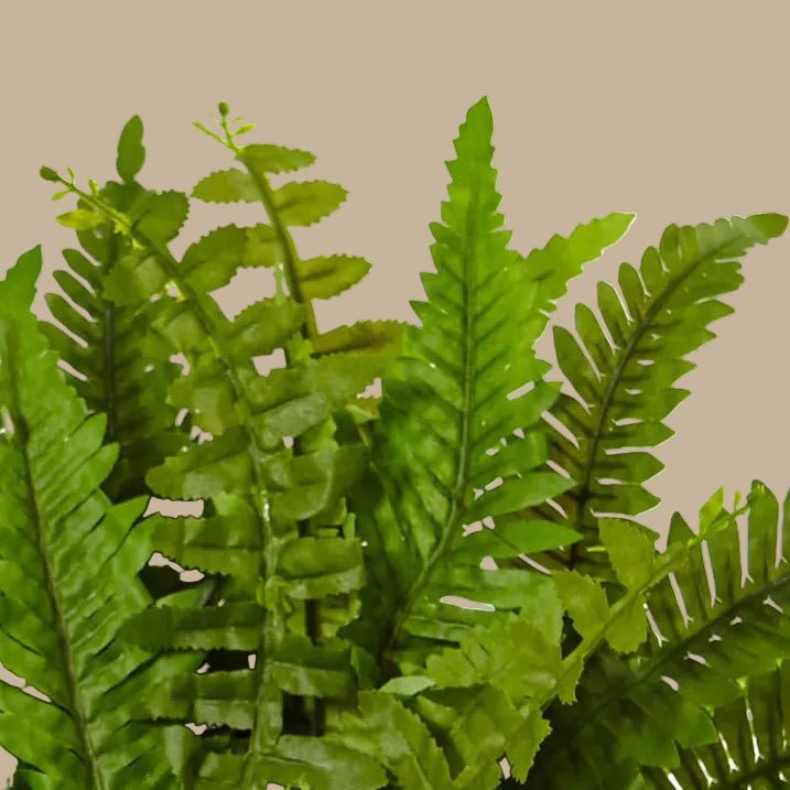 Natural Boston Fern - Realistic Faux