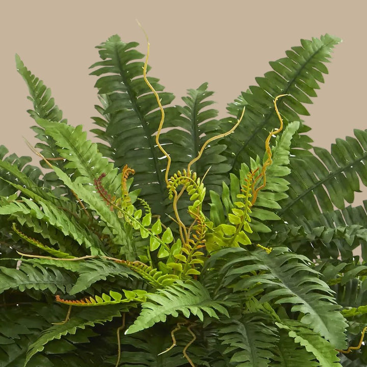 Lush Boston Fern - Realistic Faux