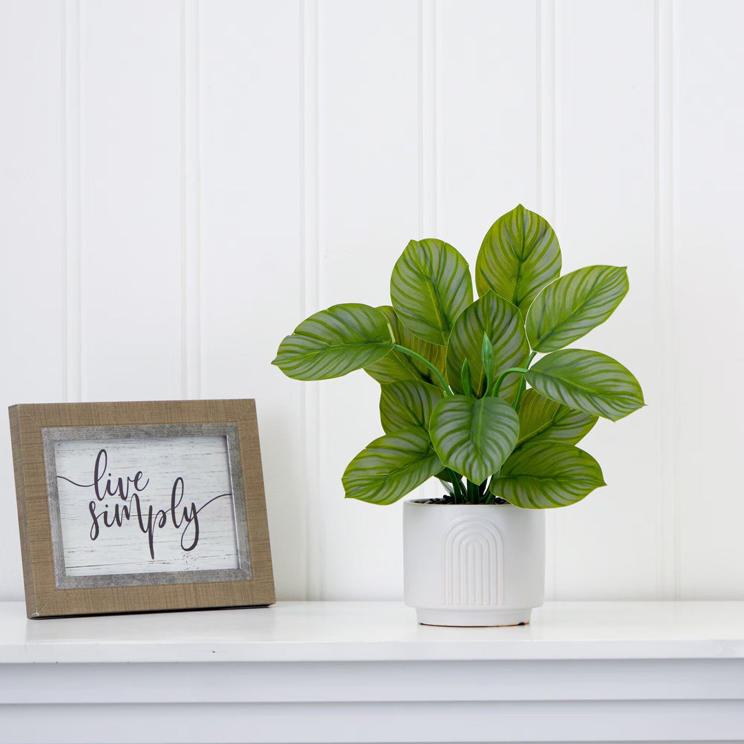 Striped Calathea Plant - Realistic Faux