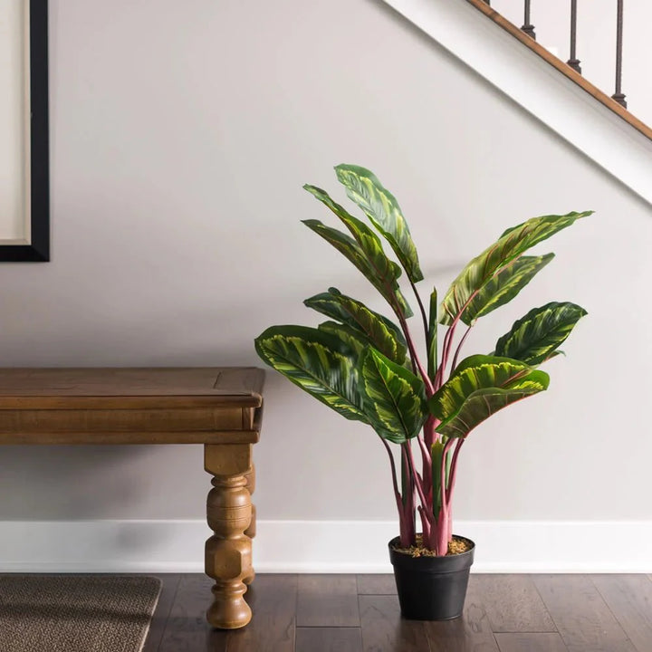 Striped Calathea Plant - Realistic Faux