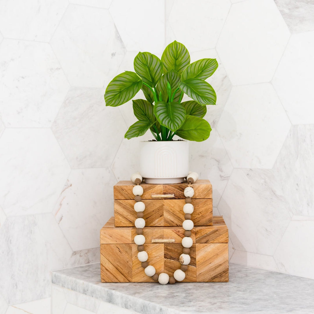 Striped Calathea Plant - Realistic Faux