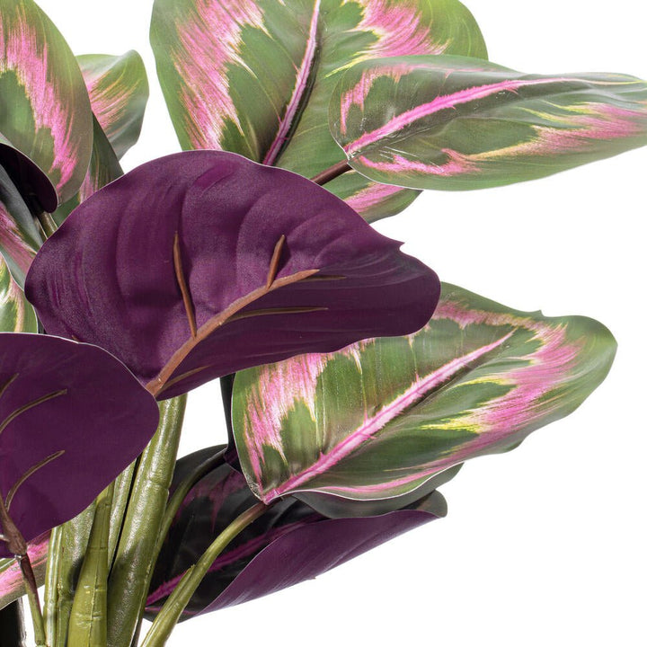 Striped Calathea Plant - Realistic Faux