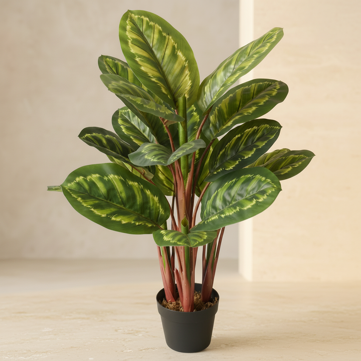 Striped Calathea Plant - Realistic Faux