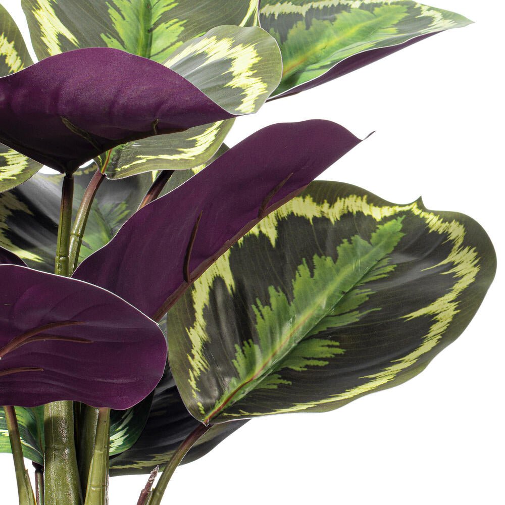 Striped Calathea Plant - Realistic Faux