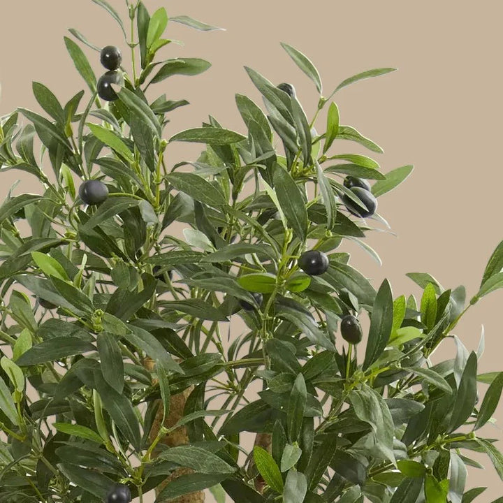 Compact Olive Tree - Realistic Faux