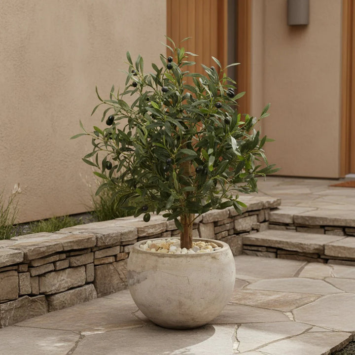 Compact Olive Tree - Realistic Faux