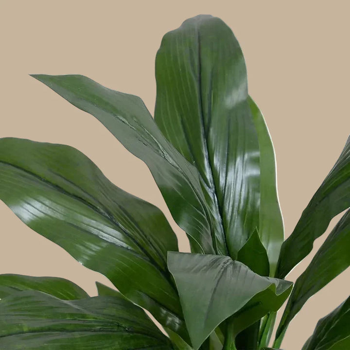 Dracaena Plant (set of 4) - Realistic Faux
