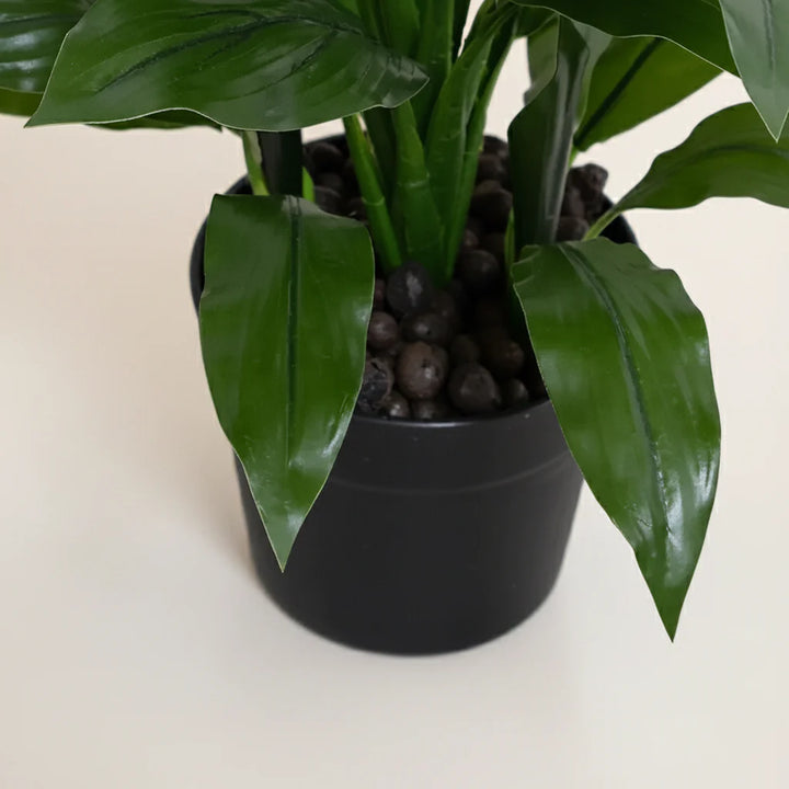 Dracaena Plant (set of 4) - Realistic Faux