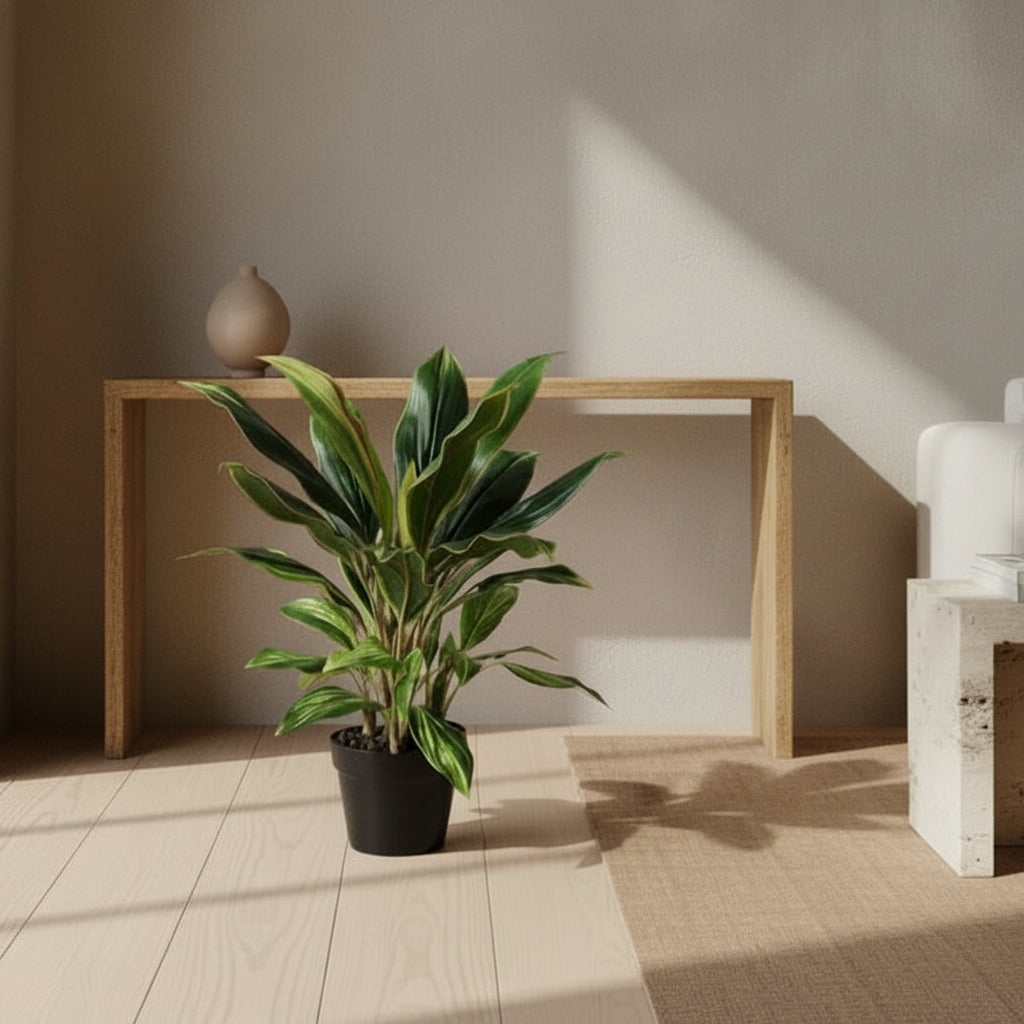 Dracaena Plant (set of 4) - Realistic Faux
