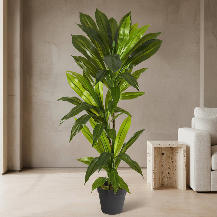 Dracaena Plant - Realistic Faux