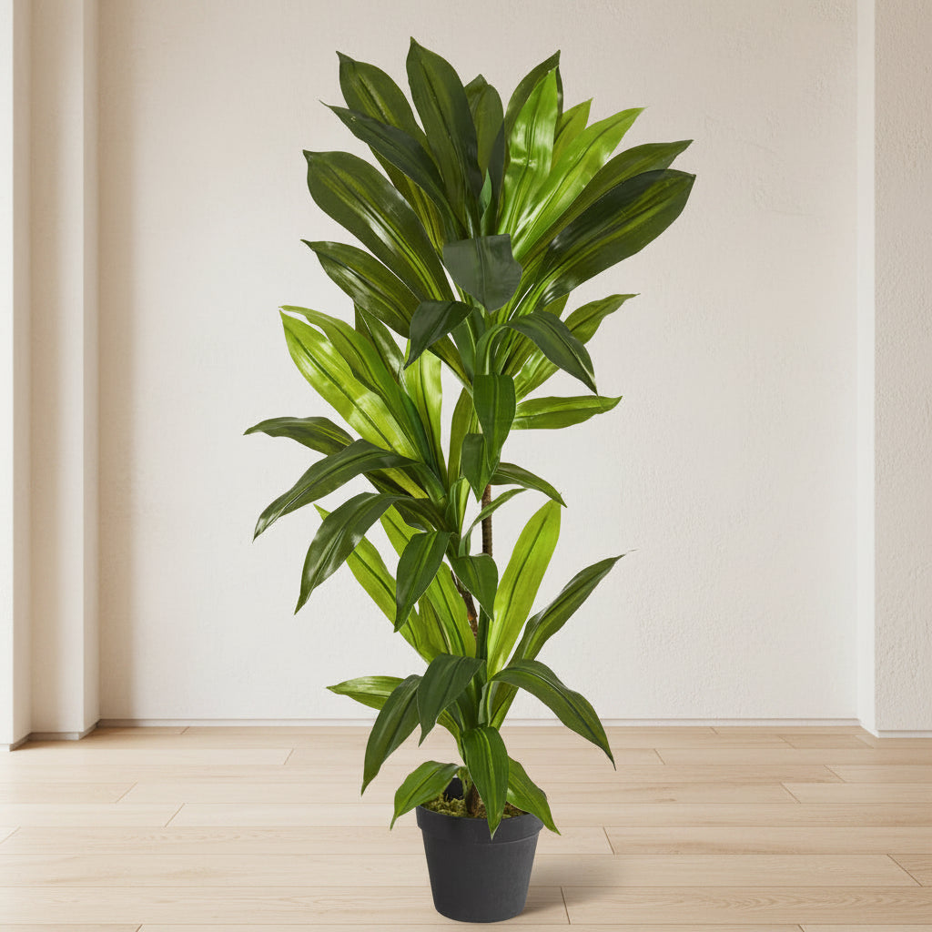 Dracaena Plant - Realistic Faux